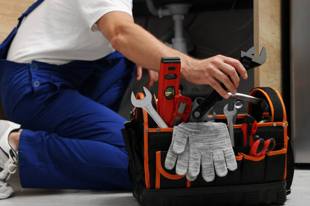 Best Local Plumber Services  in Warm Springs, CA